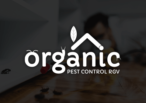 Caso de exito-Organic